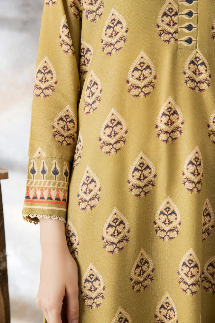 Un-stitched 3-PC Karandi